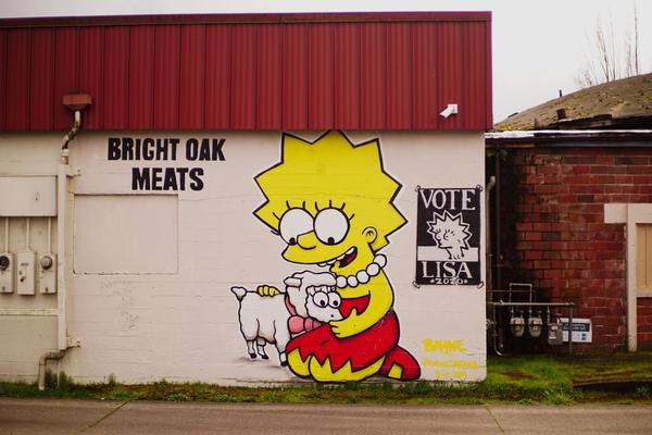 articles/astoria-goonies-springfield-simspons-soins-de-sante-americains/Springfield/DSC05665.jpg