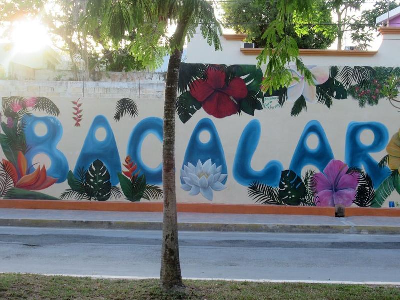 articles/bacalar-mahahual/bacalar/IMG_1959.jpg