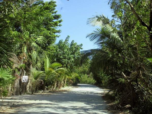 articles/bacalar-mahahual/mahaual/IMG_1976.jpg