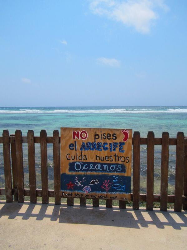 articles/bacalar-mahahual/mahaual/IMG_1988.jpg