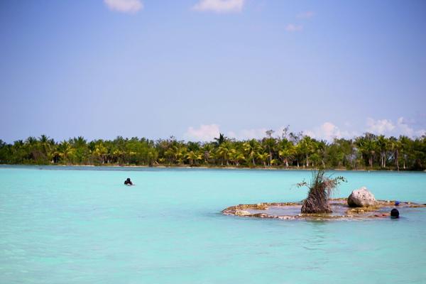 articles/bacalar-mahahual/stromatolites/DSC06495.jpg