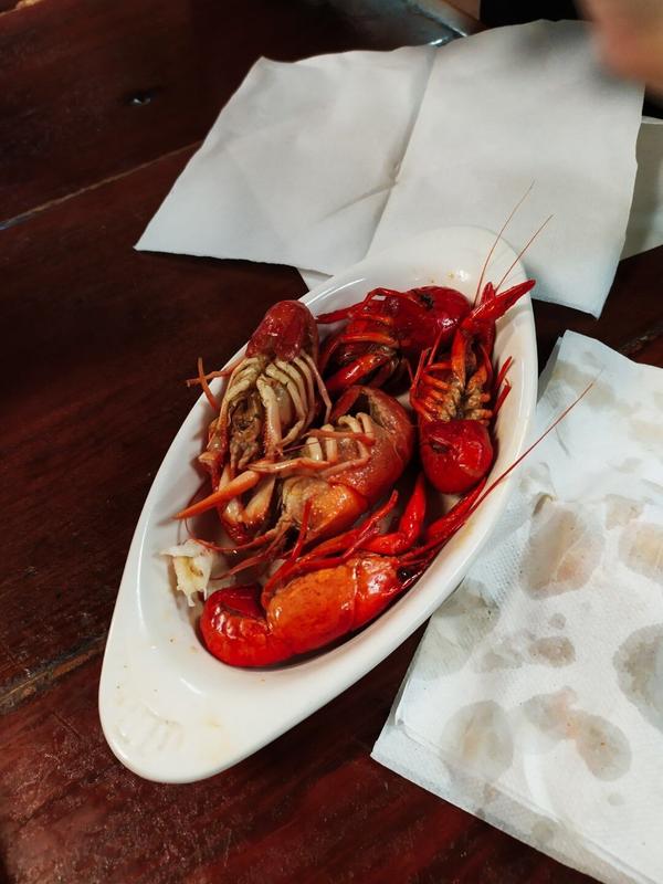 articles/baton-rouge-nouvelle-orleans-cajun-louisiane/IMG_20210217_163233.jpg