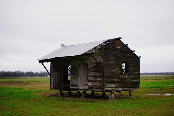 articles/baton-rouge-nouvelle-orleans-cajun-louisiane/Louisiane/DSC04353.jpg