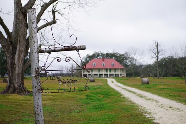articles/baton-rouge-nouvelle-orleans-cajun-louisiane/Louisiane/DSC04356.jpg