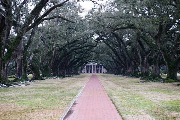 articles/baton-rouge-nouvelle-orleans-cajun-louisiane/Louisiane/DSC04358.jpg