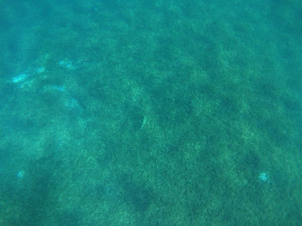 articles/bienvenue-au-paradis-guadeloupeen/PlageDeMalendure/YDXJ0095.jpg