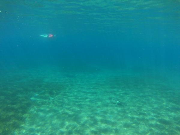 articles/bienvenue-au-paradis-guadeloupeen/PlageDeMalendure/YDXJ0103.jpg