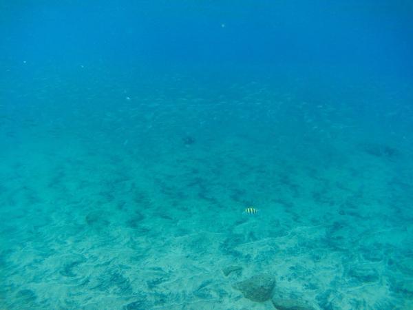 articles/bienvenue-au-paradis-guadeloupeen/PlagePetiteAnse/YDXJ0141.jpg