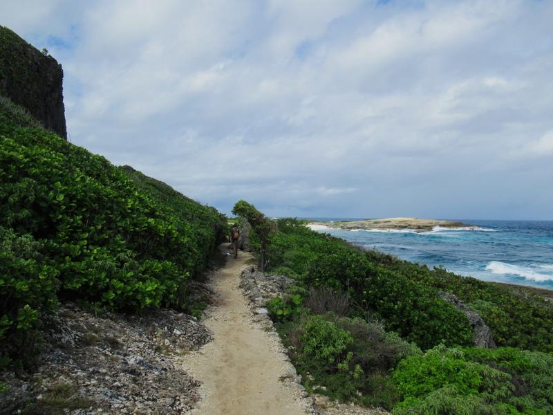 articles/bienvenue-au-paradis-guadeloupeen/PointeDesChateaux/IMG_7075.jpg