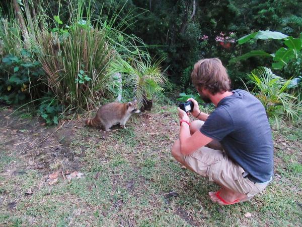 articles/bienvenue-au-paradis-guadeloupeen/Racoons/IMG_7098.jpg