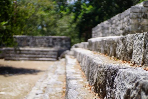 articles/calakmul/calakmul/DSC06436.jpg