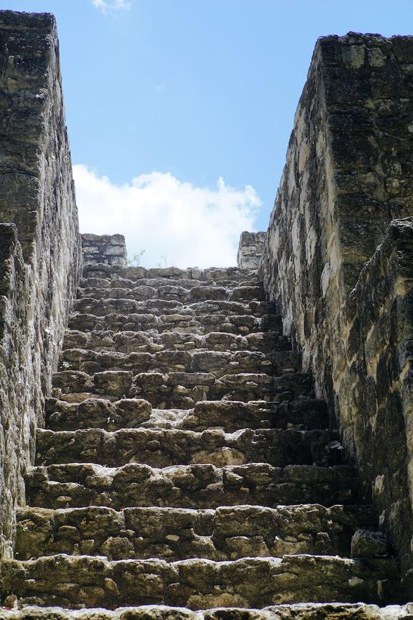 articles/calakmul/calakmul/DSC06440.jpg