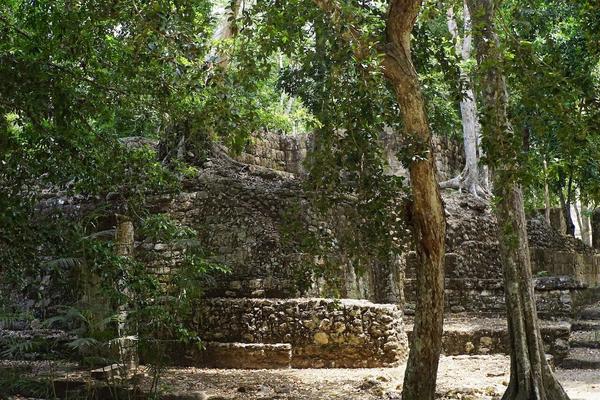 articles/calakmul/calakmul/DSC06443.jpg