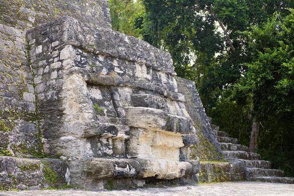 articles/calakmul/calakmul/DSC06446.jpg