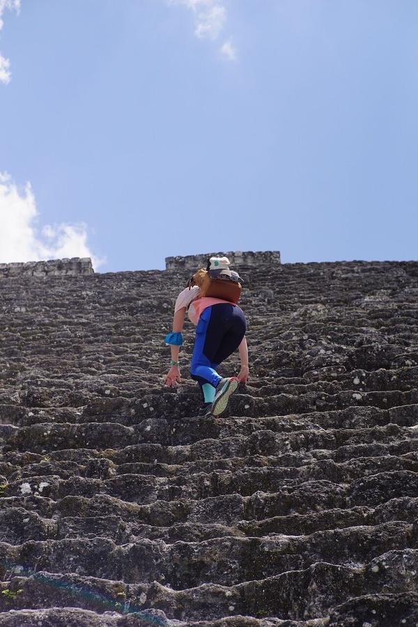 articles/calakmul/calakmul/DSC06448.jpg