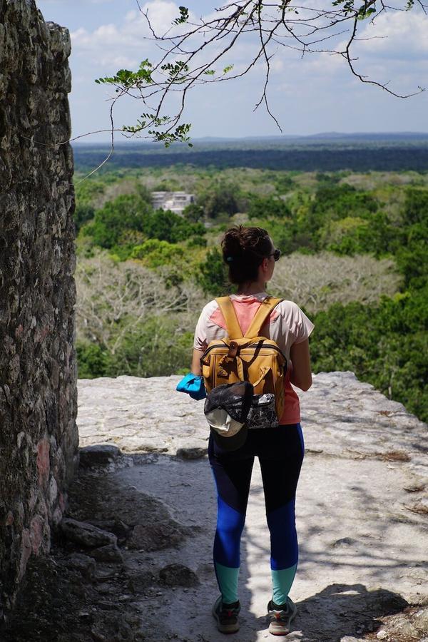 articles/calakmul/calakmul/DSC06452.jpg