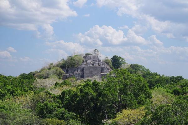 articles/calakmul/calakmul/DSC06462.jpg