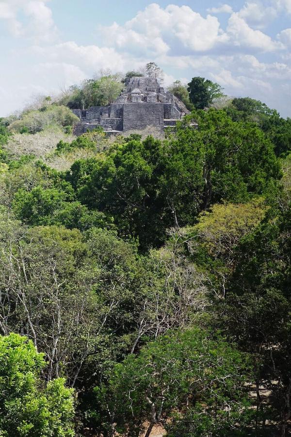 articles/calakmul/calakmul/DSC06463.jpg