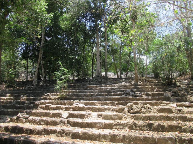 articles/calakmul/calakmul/IMG_1805.jpg