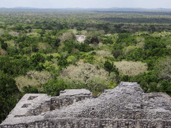 articles/calakmul/calakmul/IMG_1838.jpg