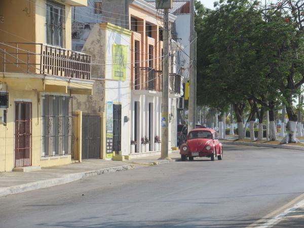 articles/campeche/campeche/IMG_1772.jpg