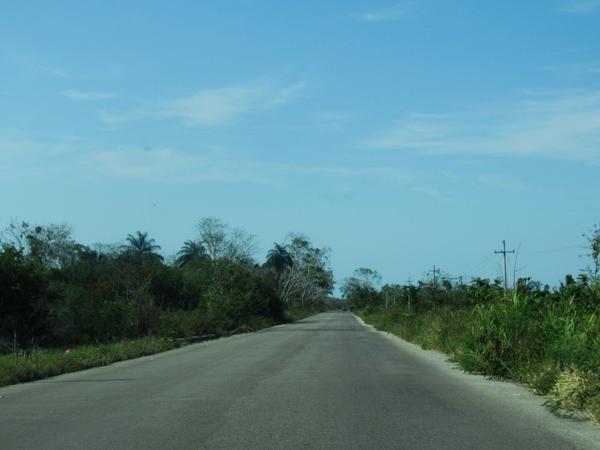 articles/cancun-holbox/IMG_1398.jpg