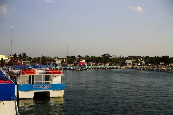 articles/cancun-holbox/holbox/DSC06043.jpg