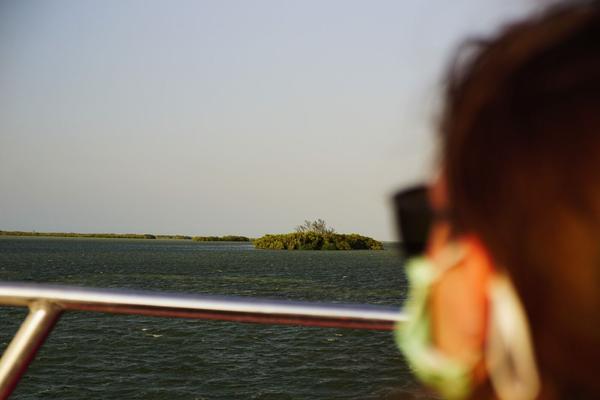 articles/cancun-holbox/holbox/DSC06047.jpg