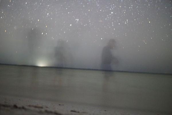 articles/cancun-holbox/holbox/DSC06069.jpg