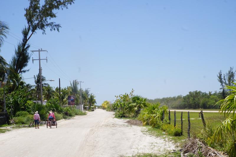 articles/cancun-holbox/holbox/DSC06089.jpg