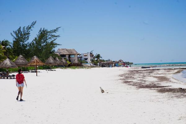 articles/cancun-holbox/holbox/DSC06094.jpg