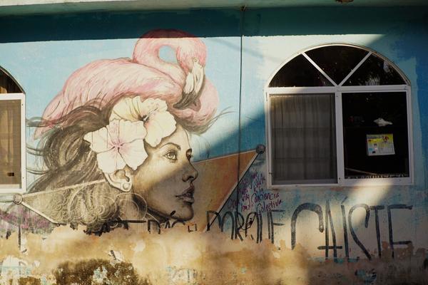 articles/cancun-holbox/holbox/DSC06096.jpg
