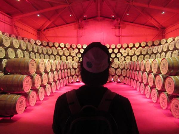 articles/commencer-annee-soleil-martiniquais/DistillerieJM/IMG_7767.jpg