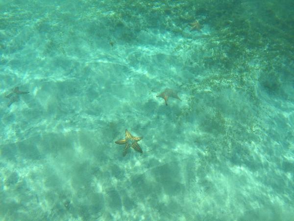 articles/commencer-annee-soleil-martiniquais/GrandeAnseDArlet/YDXJ0010.jpg