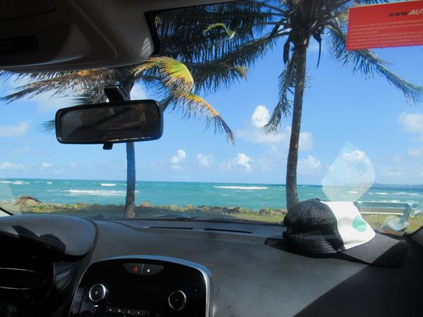 articles/commencer-annee-soleil-martiniquais/IMG_7722.jpg