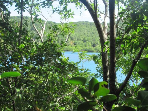 articles/commencer-annee-soleil-martiniquais/RandonneeCaravelle/IMG_7814.jpg