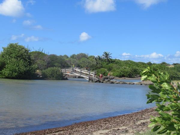 articles/commencer-annee-soleil-martiniquais/SavaneDesPetrifications/IMG_7643.JPG