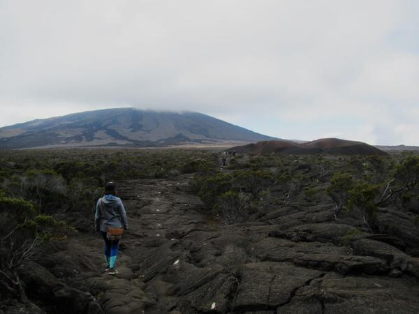 articles/derniere-semaine-a-la-reunion/IMG_5378.jpg