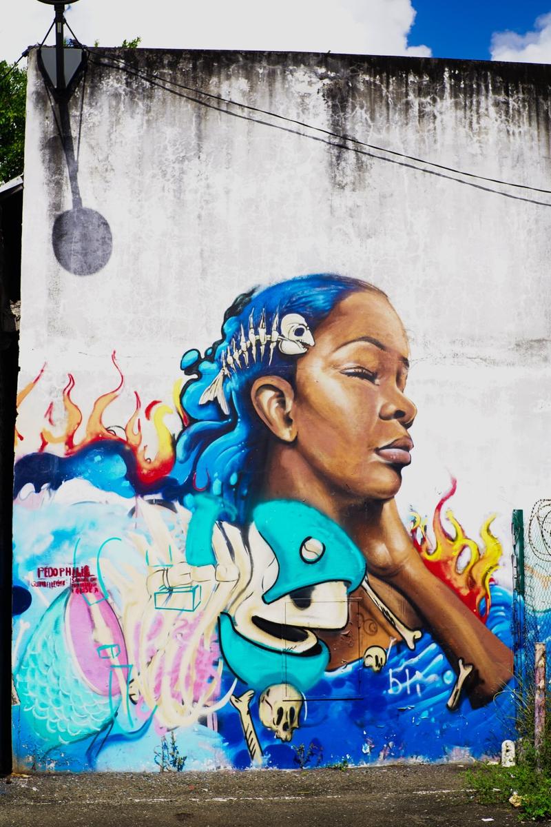 articles/derniere-semaine-martinique/FortDeFranceStreetArt/DSC03334.jpg