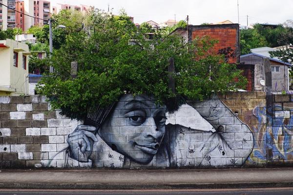articles/derniere-semaine-martinique/FortDeFranceStreetArt/DSC03346.jpg