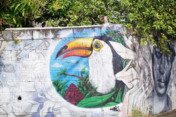 articles/derniere-semaine-martinique/FortDeFranceStreetArt/DSC03353.jpg