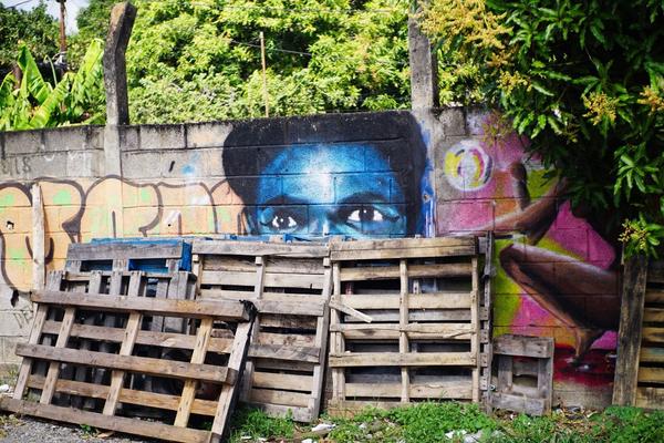 articles/derniere-semaine-martinique/FortDeFranceStreetArt/DSC03354.jpg