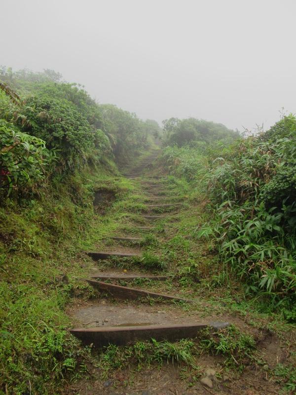 articles/derniere-semaine-martinique/MontagnePelee/IMG_7929.jpg