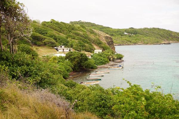 articles/derniere-semaine-martinique/PointeVauclin/DSC03372.jpg
