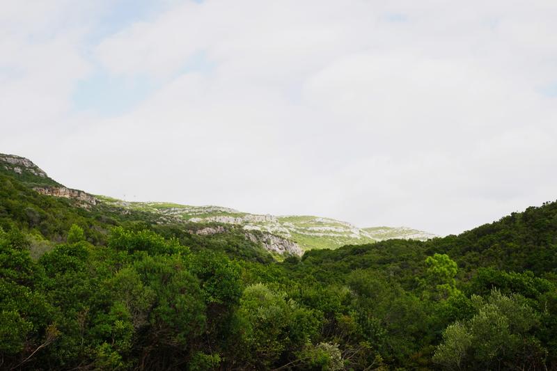 articles/descente-sud-algarve/Arrabida/DSC00622.jpg