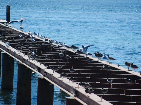 articles/descente-sud-algarve/RiaFormosa/IMG_6462.jpg