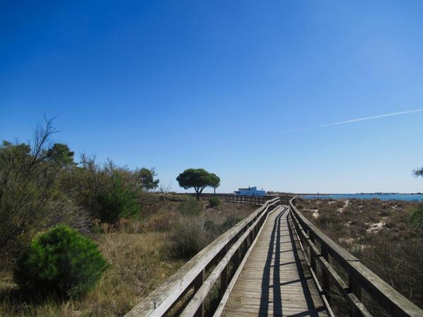 articles/descente-sud-algarve/RiaFormosa/IMG_6465.jpg