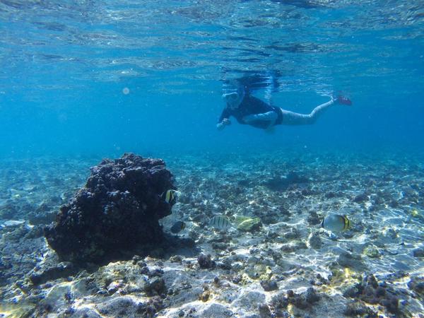 articles/deuxieme-semaine-a-la-reunion/YDXJ0065.jpg