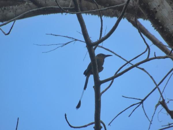 articles/ekbalam-cenote-suytun-chichen-itza-valladolid/ek-balam/IMG_1484.jpg
