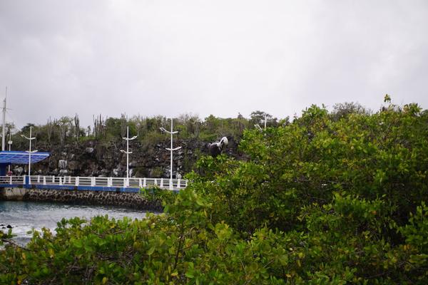 articles/equateur-arrivee-galapagos/DSC06632.JPG
